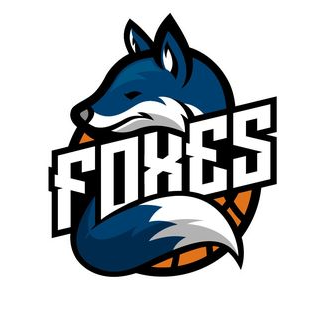 Basket Foxes Giussano